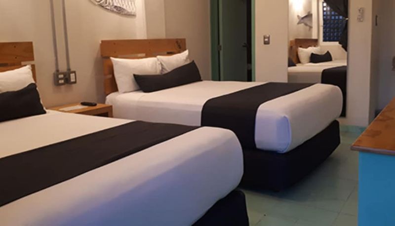 Apartment - Mas Basico Hotel