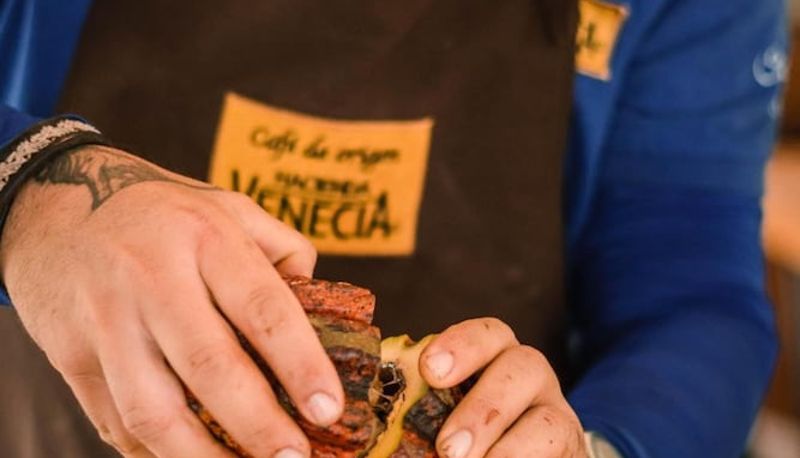 Info - Hacienda Venecia Main House & Coffee Lodge