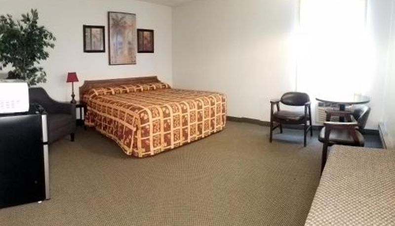 Standardzimmer - Amber Inn Motel