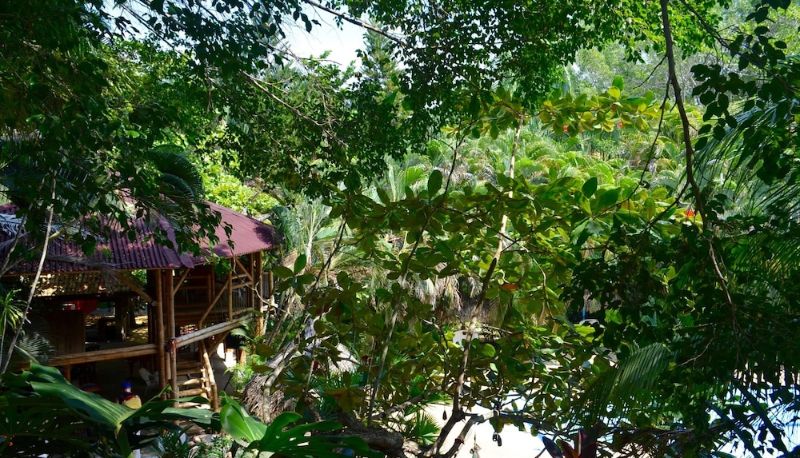 Bar - Amanwana Ecofinca