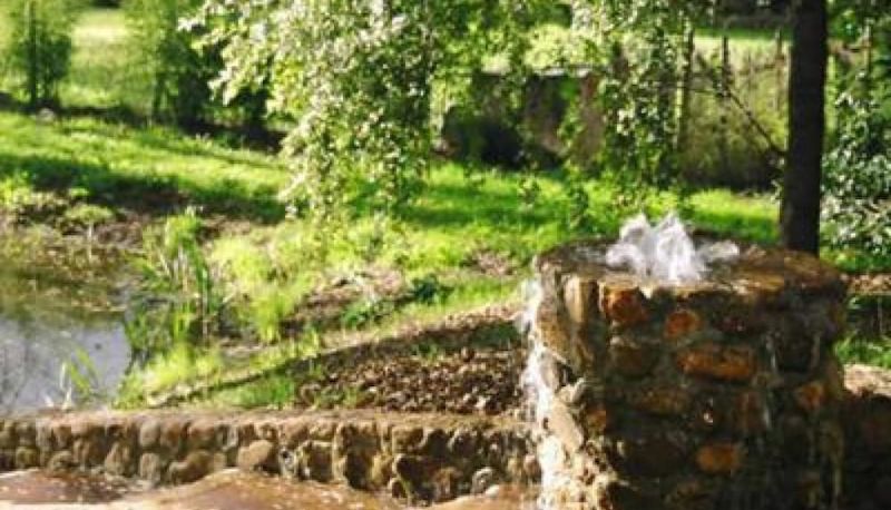 Umgebung - Backyard Garden Oasis