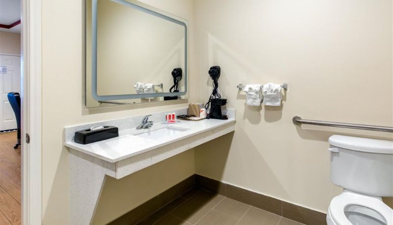 Zimmer - Econo Lodge Inn & Suites Houston Willowbrook