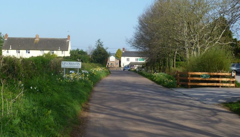 Info - Brambles Bed and Breakfast