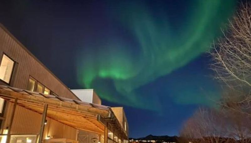 Bilgi - Sørreisa Hotell