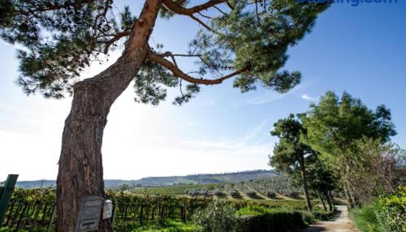 Habitación triple - Masseria del Vino