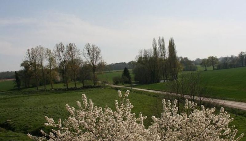 Zewnętrzna część hotelu - Domaine des Hêtres