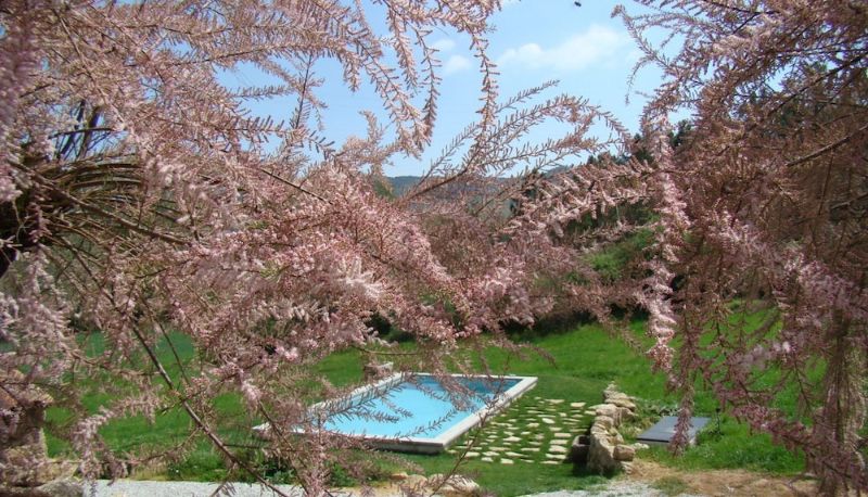 Piscina - Quinta de Seves