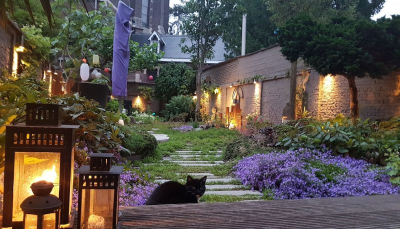 Info - Bed & Breakfast Guesthouse Leman