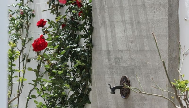 Jardin - Intorno al Fico Hotel