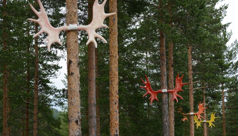 Info - Skjerdingen Høyfjellshotel