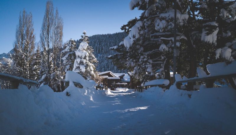 Info - Hôtel Le Loup Blanc
