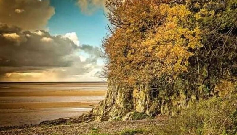 Informacje - The Silverdale Hotel