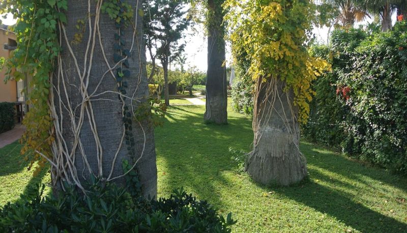 Environs - Villa Carlotta Resort