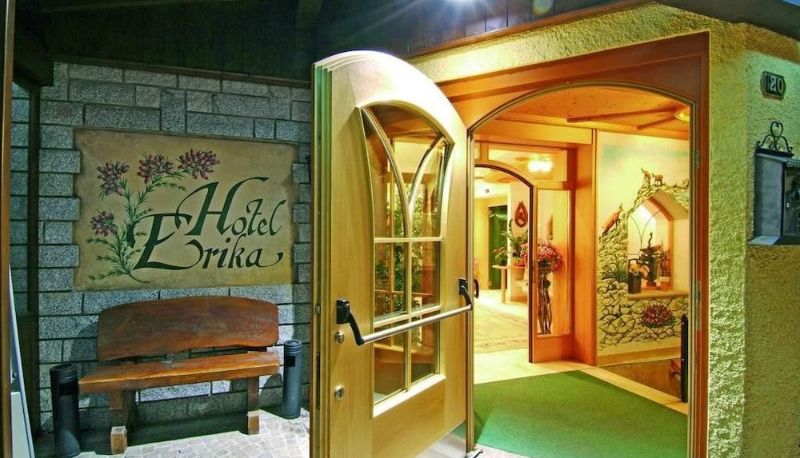 Hotel interior - Hotel Erika