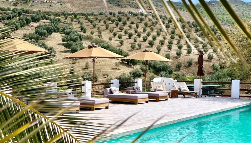 Piscine - Lemon Tree Retreat at El Amparo