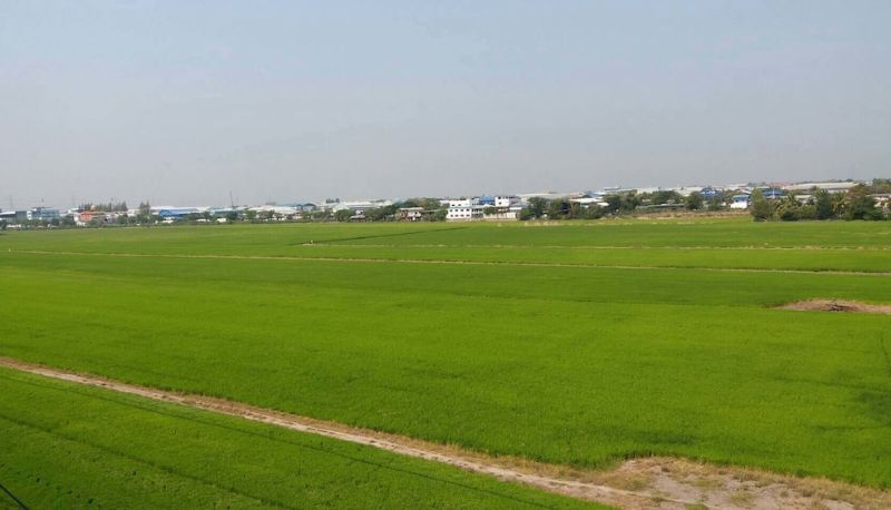 Info - AA Villa Garden Airport