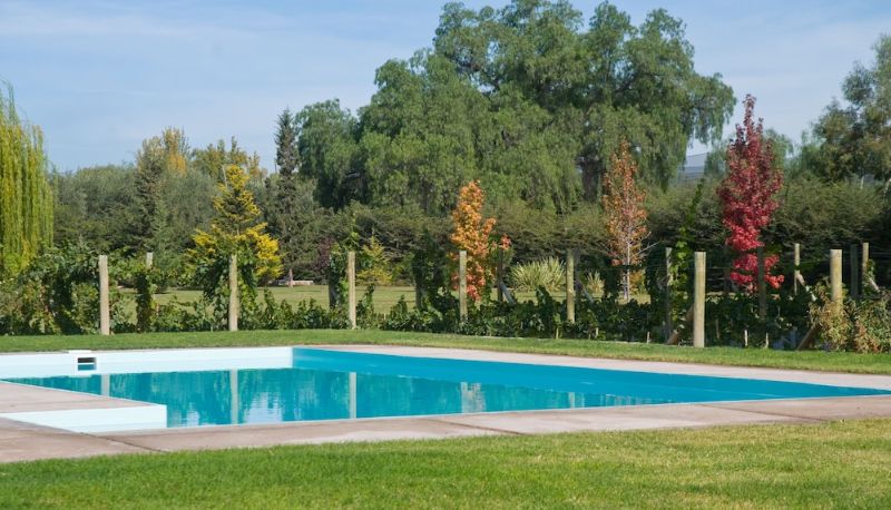 Pool - Finca Verde Oliva Wine & Olive Estate