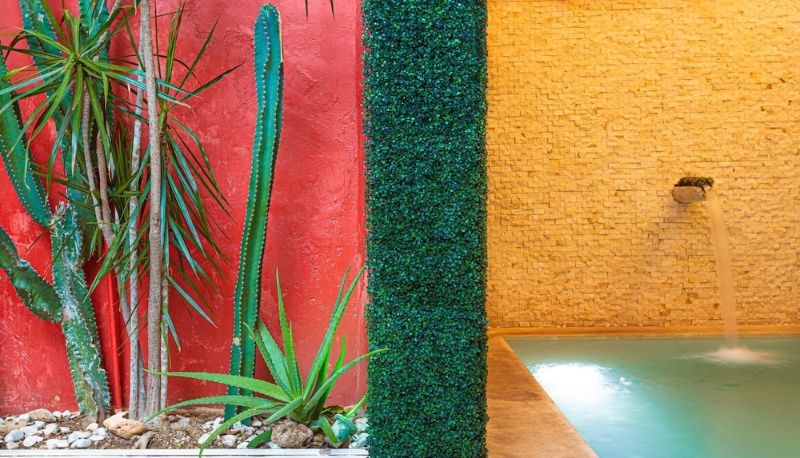 Havuz - Viva Merida Hotel Boutique