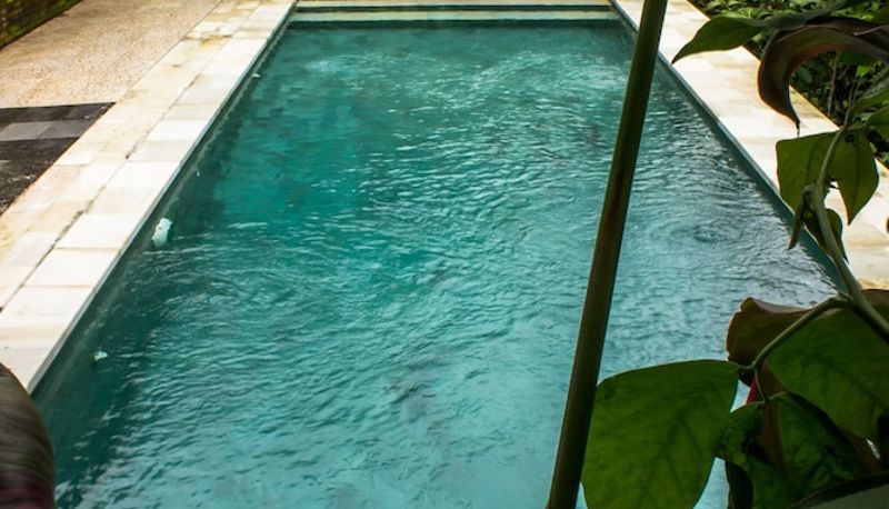 Piscine - Bisma Jaya Bungalow