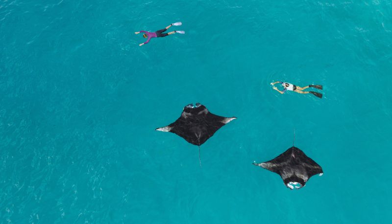 Info - The Westin Maldives Miriandhoo Resort