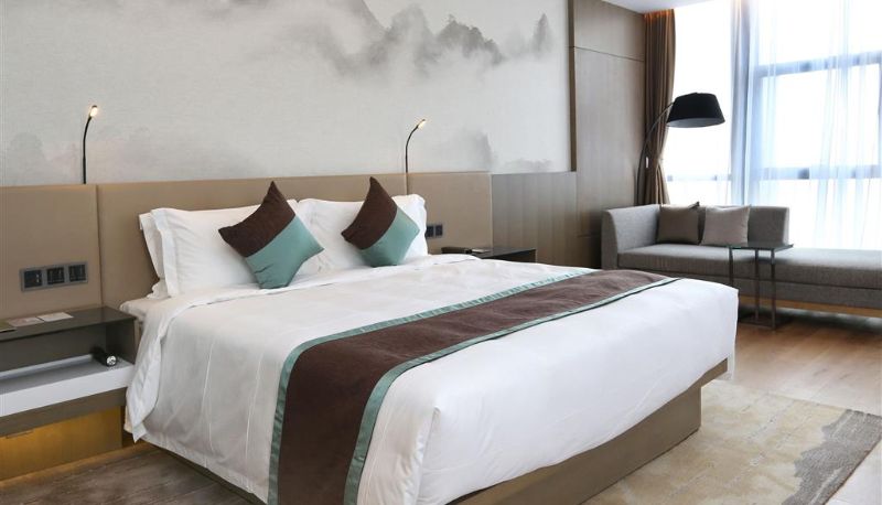 Camera - Novotel Deqing Moganshan