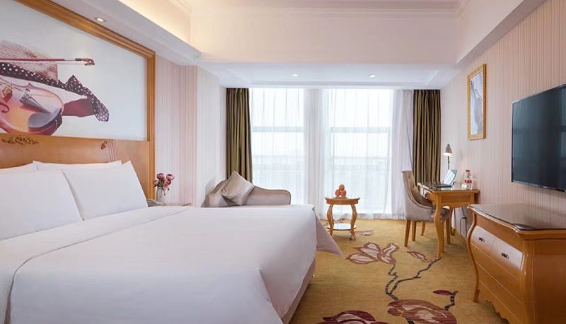 Camera - Vienna Hotel (Luoyang Jiudu Road Wanda Hotel) Luoyang Jiudu Road