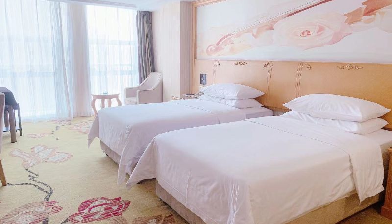 Camera - Vienna Hotel (Luoyang Jiudu Road Wanda Hotel) Luoyang Jiudu Road