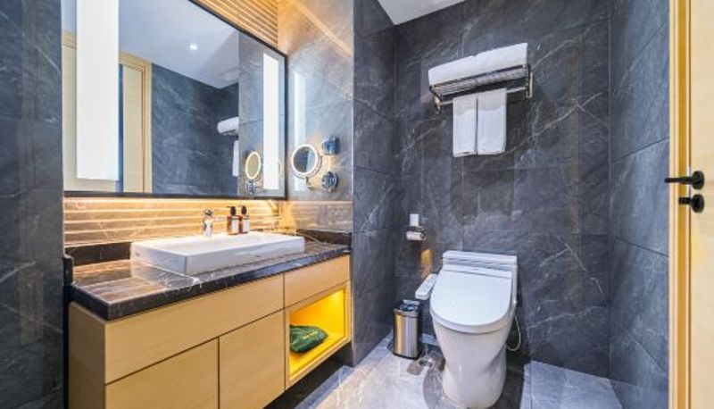 Zimmer - Grand Madison Hotel Jinzhong Yuci Haitang