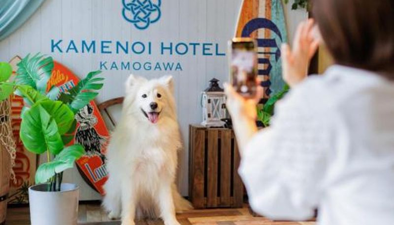 Info - KAMENOI HOTEL Kamogawa