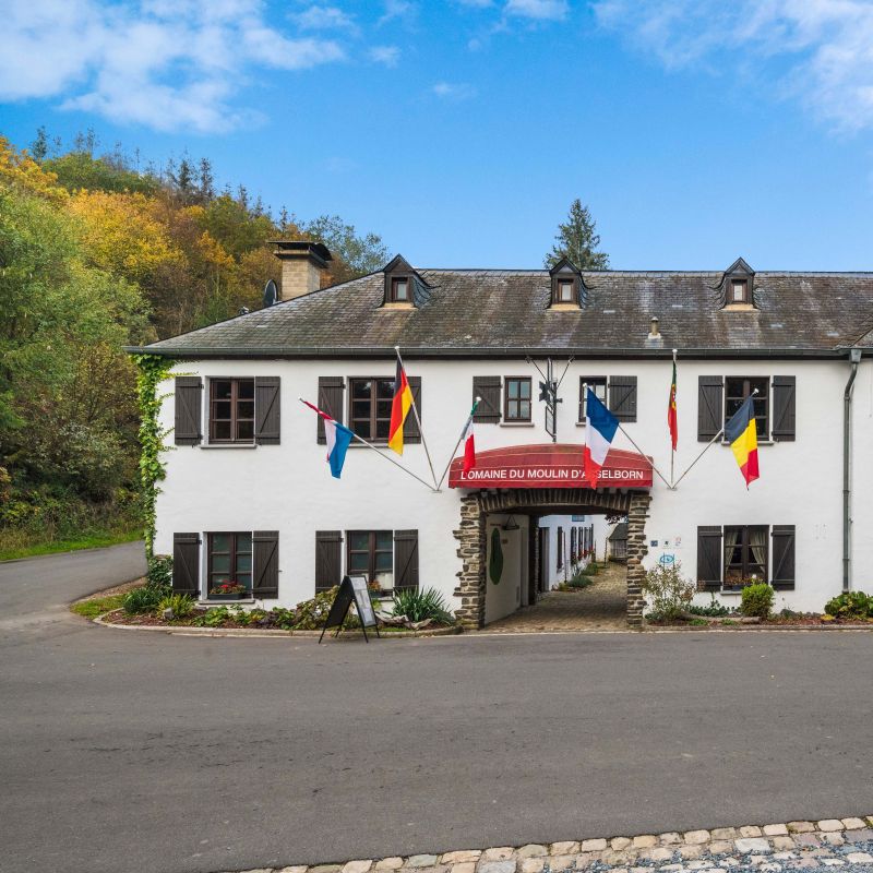 Domaine du Moulin