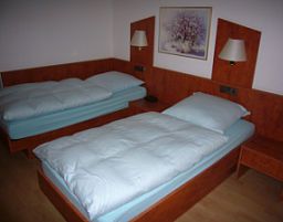 Hotel Zur Linde Gasthaus (Hardegsen)