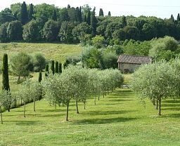 Sangallo Park Hotel (Siena)