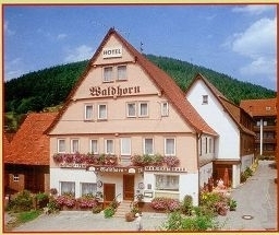 Hotel Waldhorn (Bad Wildbad)
