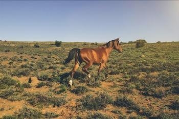 Hotel Aan de Voor Safaris (Colesberg)