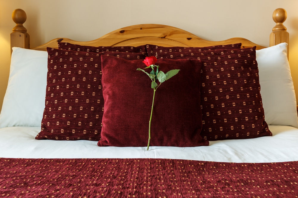 Hotel Kingfisher Serviced Apartments (Dublin)