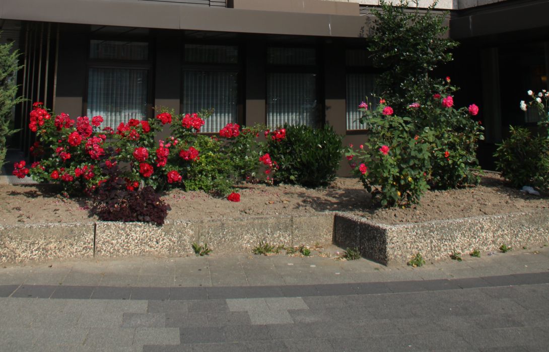 Deutsches Haus Gollart S Hotel Hildesheim Great Prices At