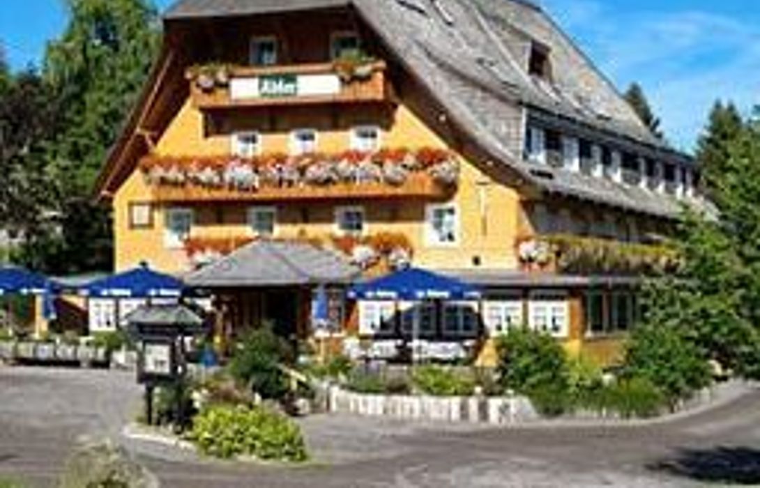 hotel adler barental in feldberg hotel de