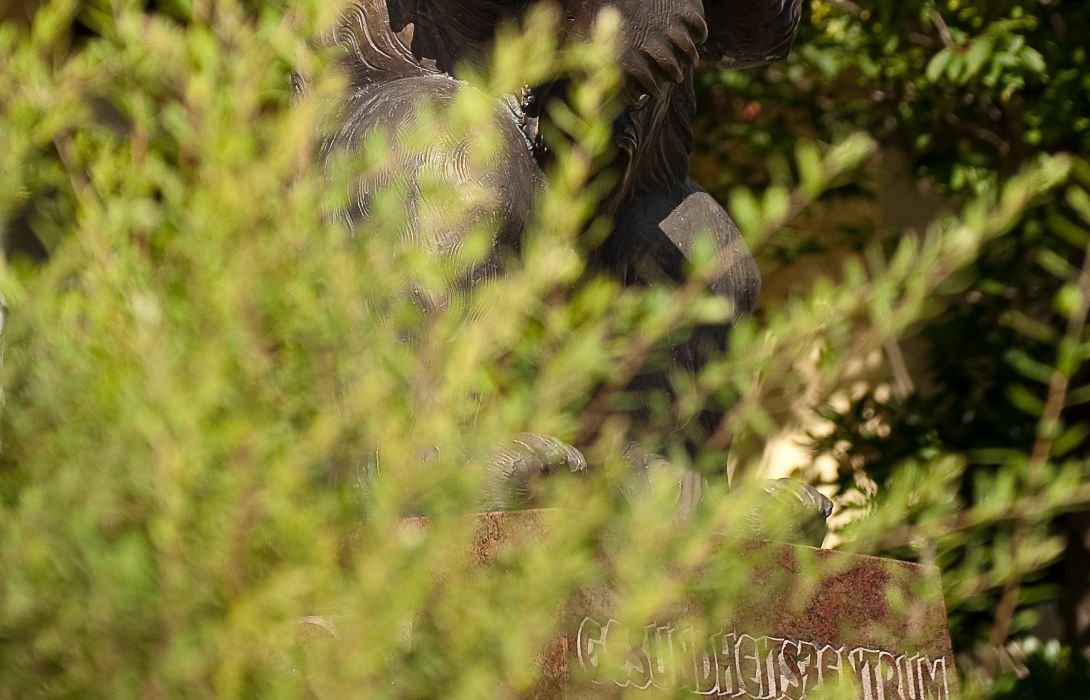 Hotel Barenhof In Bad Gastein Hotel De