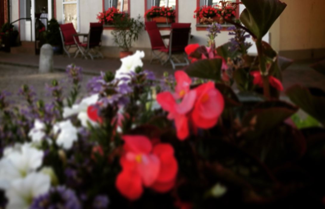 Hotel Nordischer Hof In Krakow Am See Hotel De - 