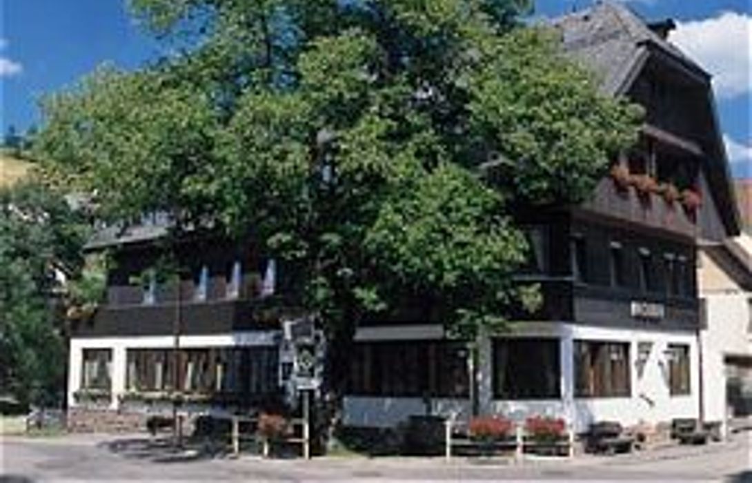 Hotel Adler Gasthof in Schramberg - Tennenbronn – HOTEL DE