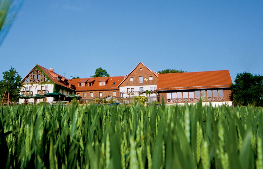 hotel neue hohe in klingenberg hotel de