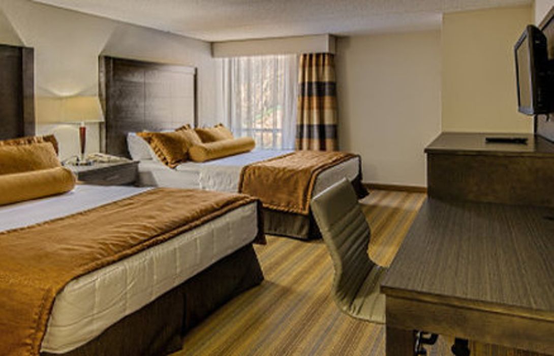 Comfort Inn Rochester Great Prices At Hotel Info
