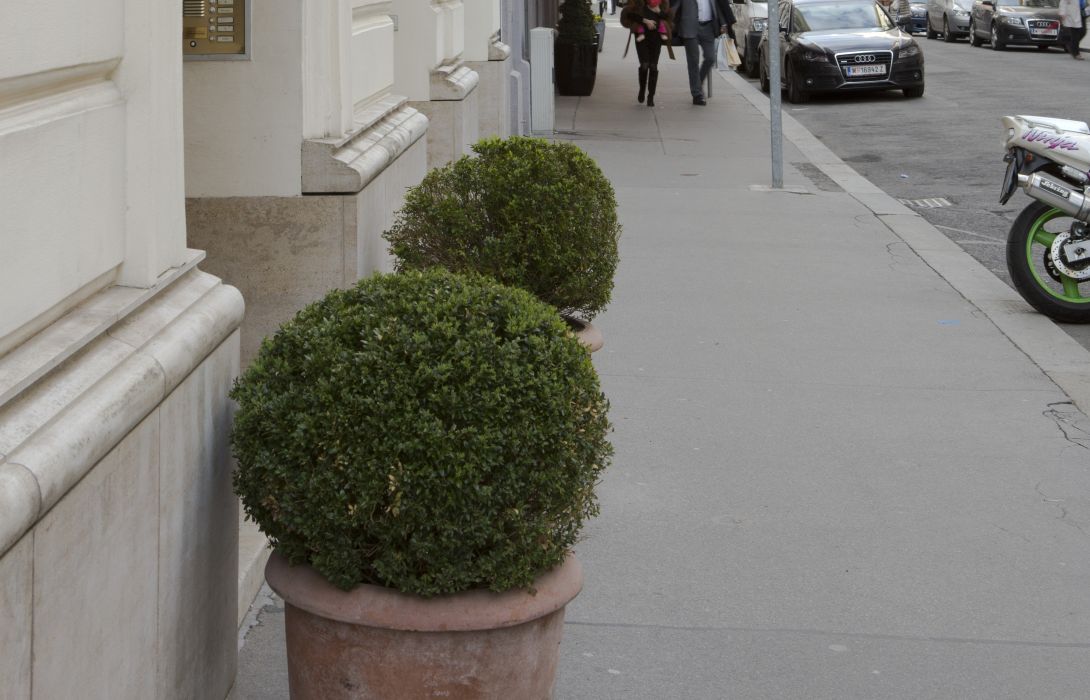 Hotel Appartements An Der Riemergasse Vienna Great Prices At Hotel Info