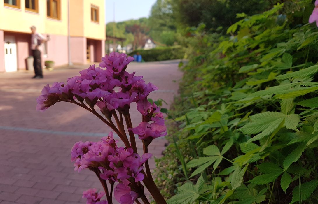 Hotel Zur Engelsburg Hausen Great Prices At Hotel Info