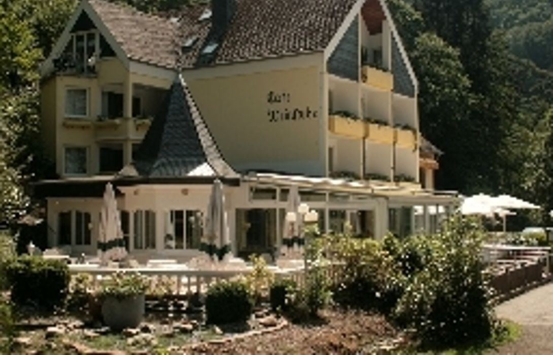 hotel am schwanenweiher in briedern hotel de