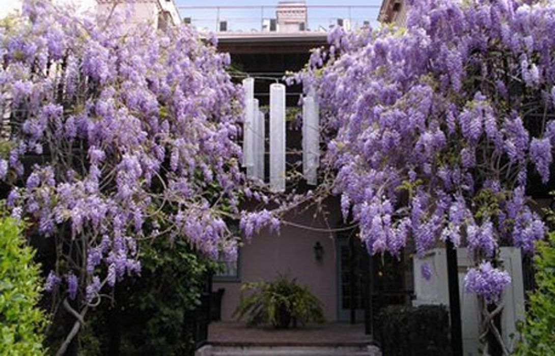 Hotel Dresser Palmer House In Savannah Great Prices At Hotel Info