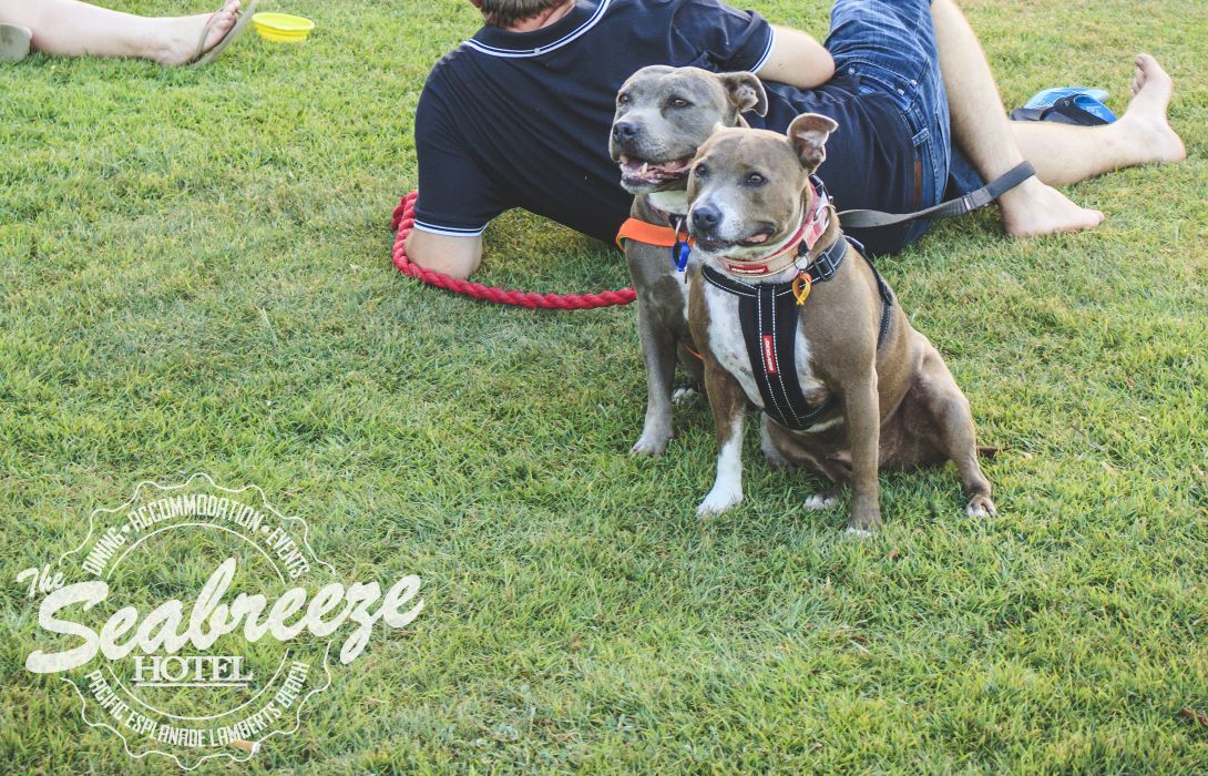 The Seabreeze Hotel Mackay Great Prices At Hotel Info