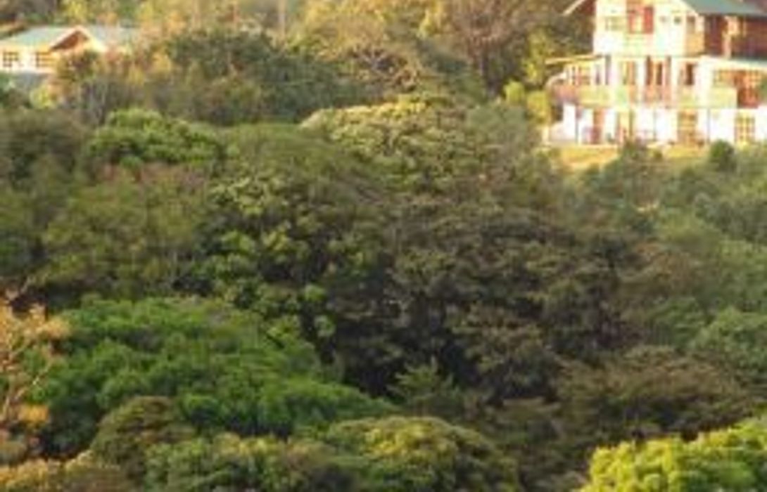 Hotel Belmar Santa Elena De Monteverde In Santa Ana Hotel De