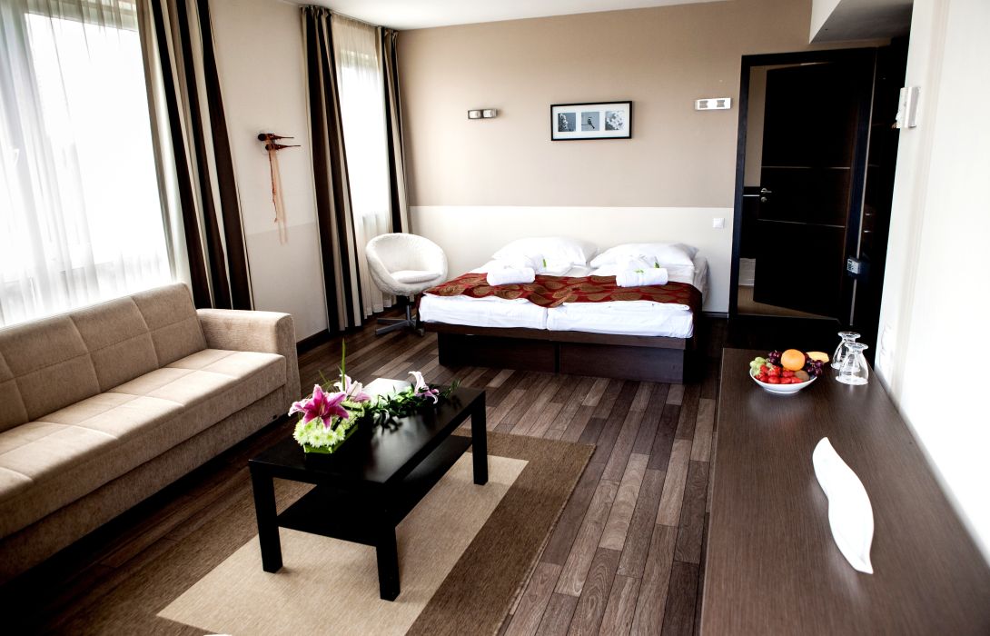 Ce Plaza Hotel Siofok Great Prices At Hotel Info