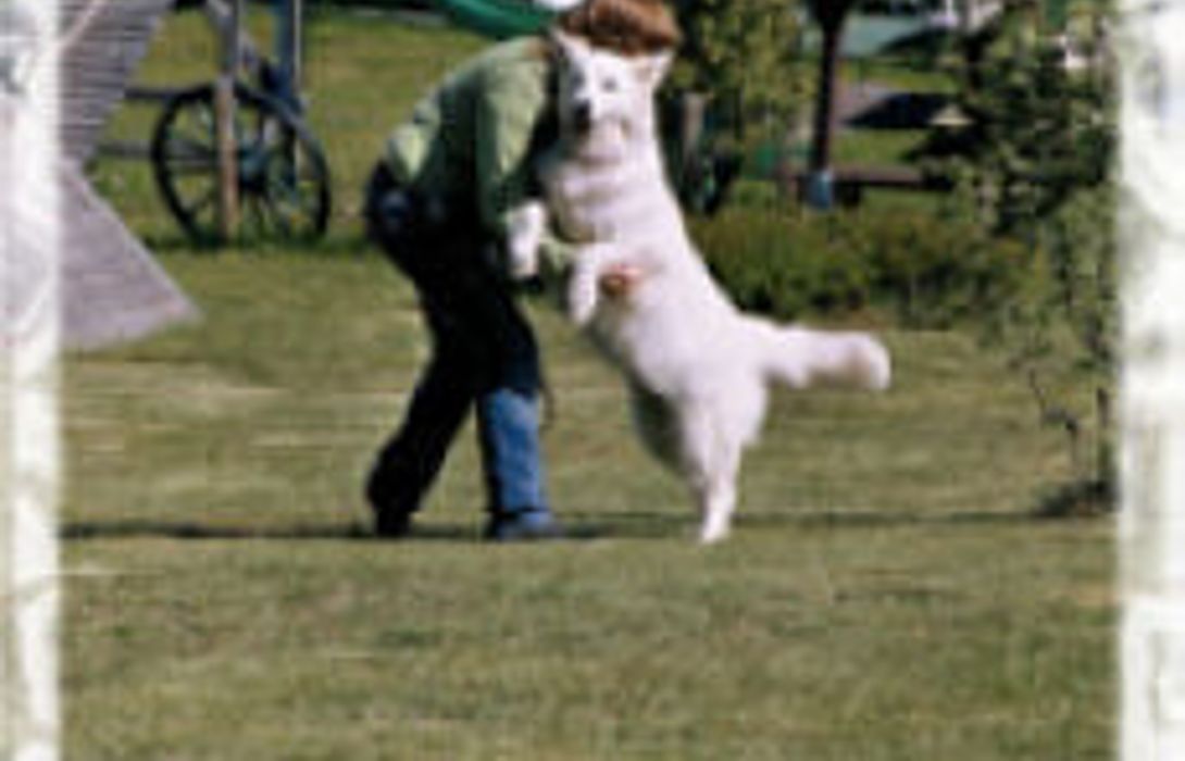 Haus Waldeck Landhotel In Philippsreut Mitterfirmiansreut Hotel De